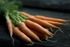 Ripe and fresh, orange carrots with green leaves