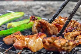 grill for cooking meat