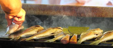 person cooking Fish on Grill