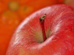 red apple in blurred background