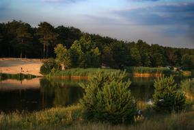 Beautiful Landscape Water and forest