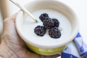 fresh yogurt with blackberries