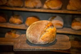Bread Farmer'S Fresh