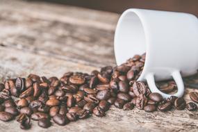roasted Coffee beans and white cup on wooden surface