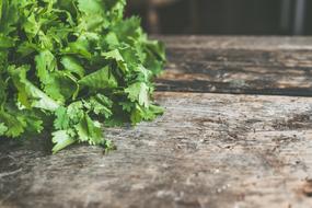 green Salad Cilantro Cooking