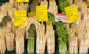 Food Asparagus