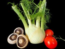 mushrooms and vegetables at black background
