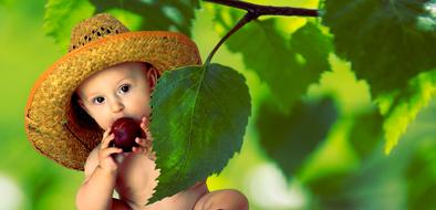 child hat Summer Fruit