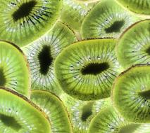 Background Closeup Color green kiwi