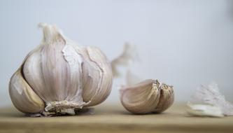 garlic on the table on a blurred background