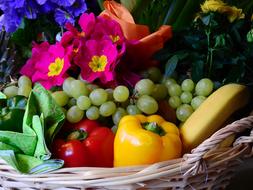 Vegetables and Fruit and flowers