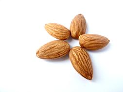 Beautiful flower, made of the almonds, on the white surface