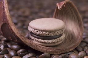 macaron on coffee beans