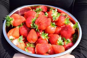 photo of ripe strawberries in a metal bowl