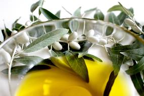 Olive Oil and Leaf