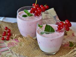 yogurt with mint and red currant
