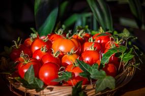 tasty Tomatoes Healthy