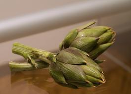 Artichokes Vegetables green herb