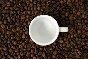 white cup on coffee beans as still life