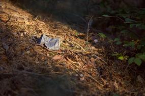old rusty jar in the forest