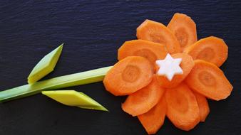 Carrot flower