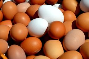 brown and white eggs