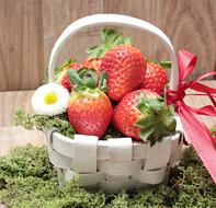 Strawberries in white Basket and green Moss