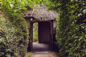 Beautiful hut with the passage, among the colorful plants