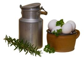 clipart of Milk Can Eggs in Pot