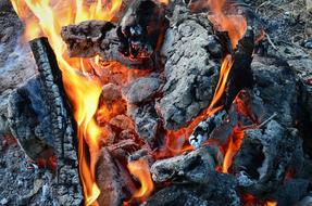 macro photo of burning coals