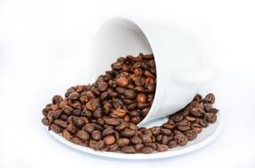 Coffee Beans and cup on saucer