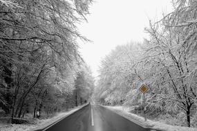 Snow forest road Nature