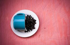 Coffee Beans Blue pink background