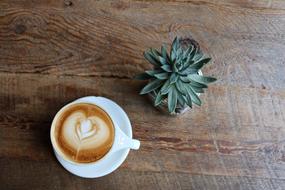 White cup of the beautiful coffee and beautiful green plant, on the wooden table