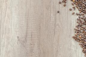 Wood Caffeine