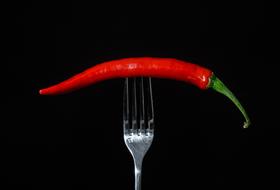 Beautiful, red chili pepper on the fork, at black background