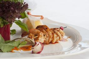 Meat Chicken White plate