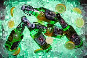 Beautiful and colorful, shiny beer bottles, among the ice and lemon slices