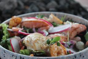 shrimp vegetable salad