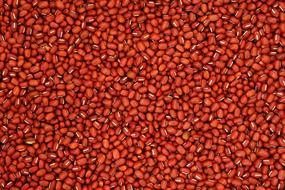 Red Bean Pattern