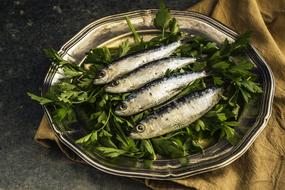 Sardines Fish Lunch and herb