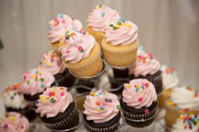 sweet mini cupcakes
