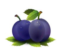 two blue plums on a white background