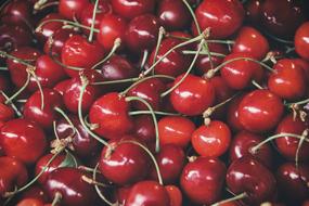 fresh red Cherries Fruit