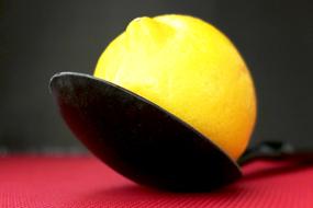 Lemon Citrus spoon