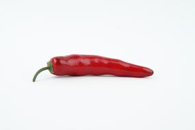 photo of one red chili pepper