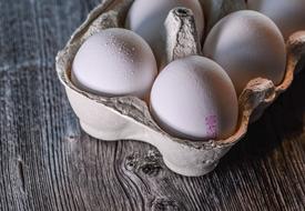 white eggs in a carton container