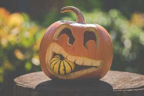 Shiny, orange Halloween pumpkin, with the colorful, smaller pumpkin, in the autumn, near the colorful plants