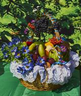 harvest vegetables and blue grapes in a basket