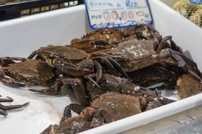 raw Crabs on Market stall